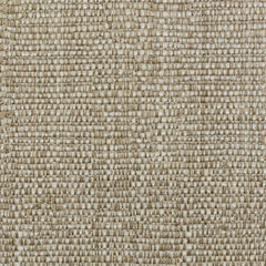 Paris Beige fabric swatch